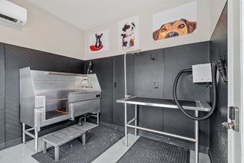 Dog spa